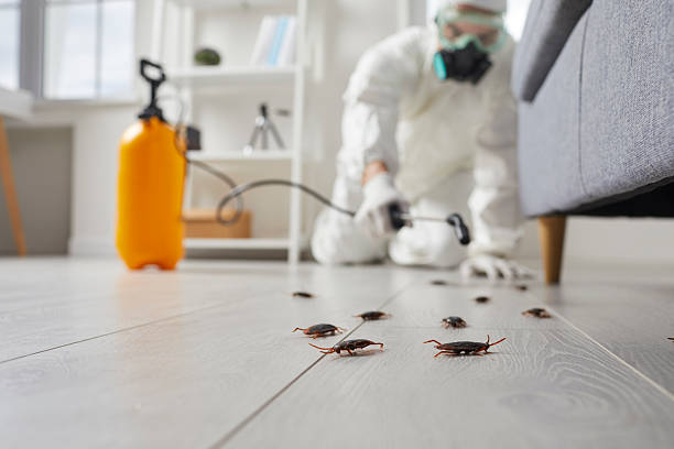 Commercial Kitchen Cockroach Control in St. Paul